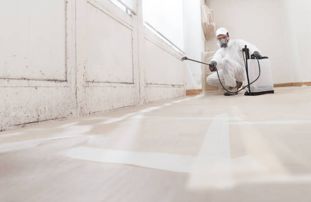24/7 Emergency Bathroom Mold Removal experts in Springfield, CO